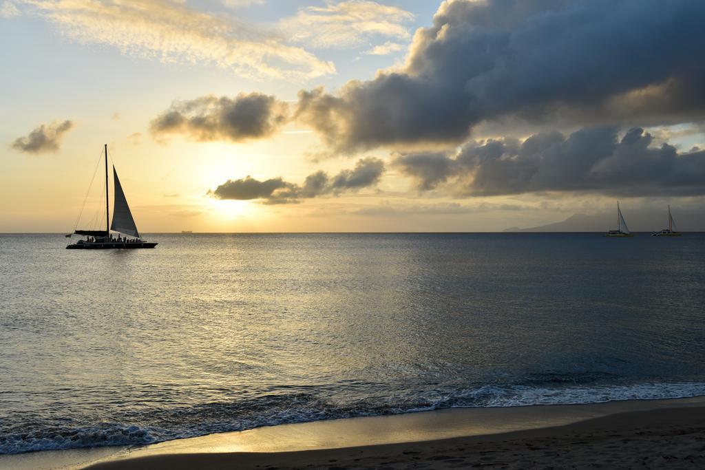 Paradise Beach ネイビス 部屋 写真